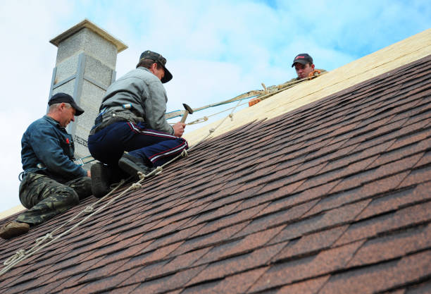 Best Local Roofing Companies  in Wesley Chapel, NC