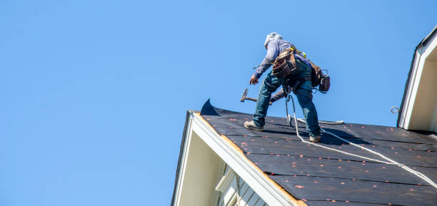 Best Roof Waterproofing Services  in Wesley Chapel, NC